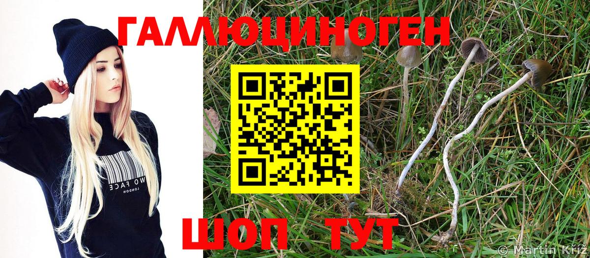 Галлюциногенные грибы мицелий Ростов-на-Дону